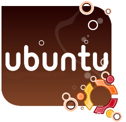 Install and start Oracle 10g Express in Ubuntu 10.10